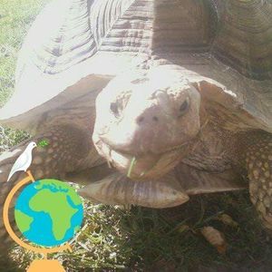 Meet your Posher, Kristi